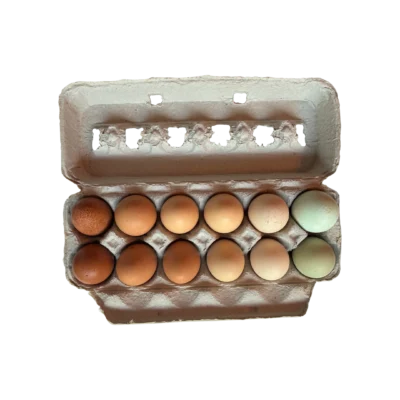 Free-Range Pastured Eggs