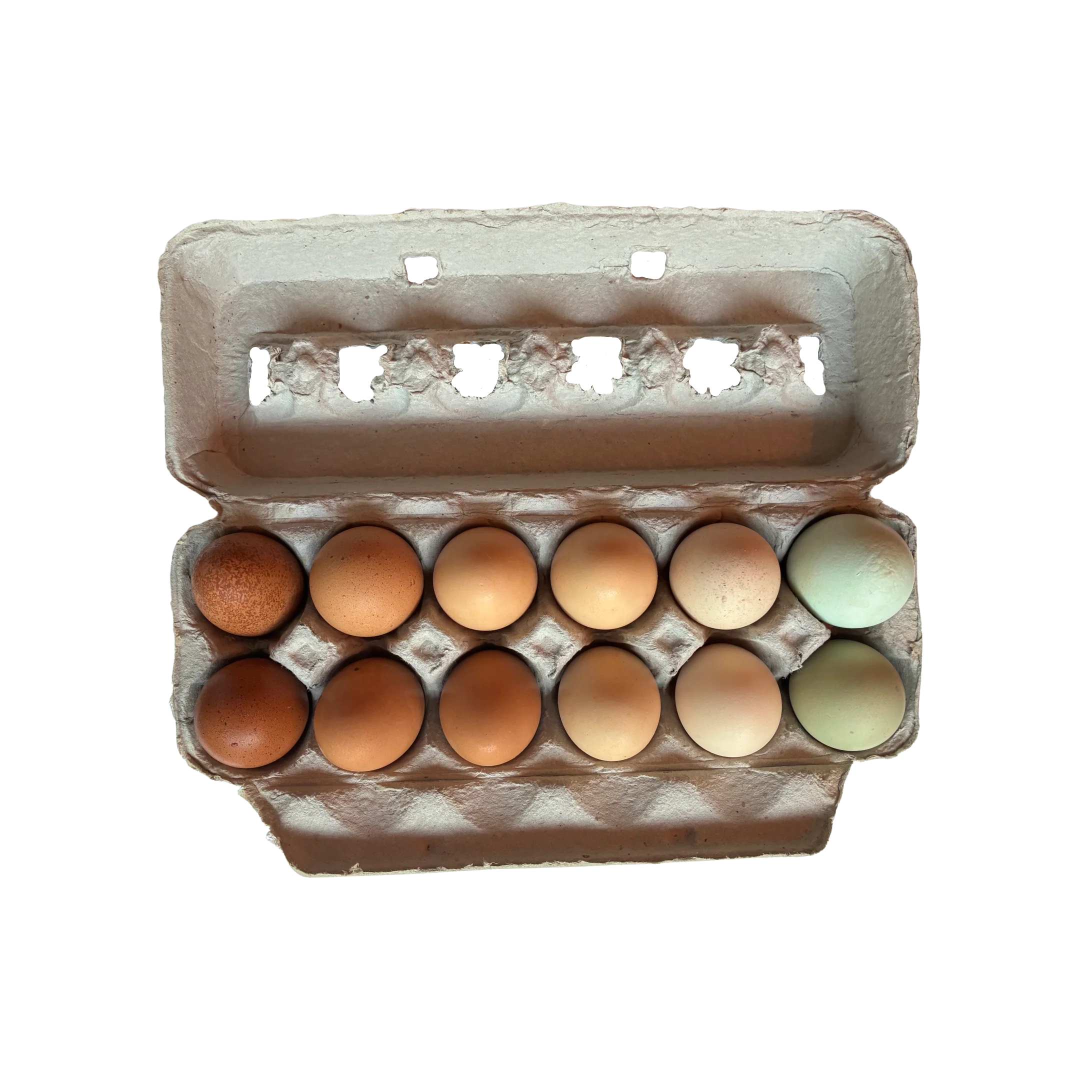 Free-Range Pastured Eggs