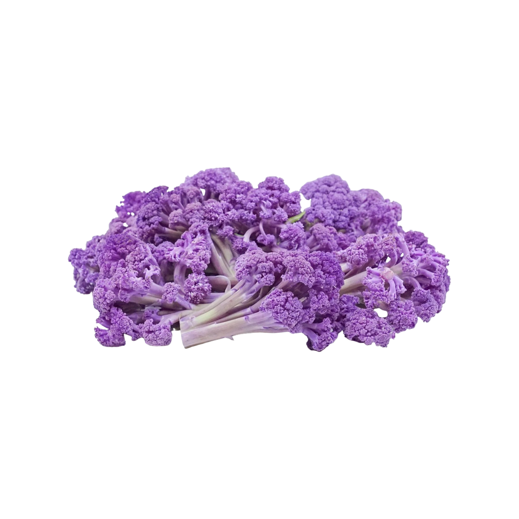 Non-GMO Sprouted Purple Cauliflower