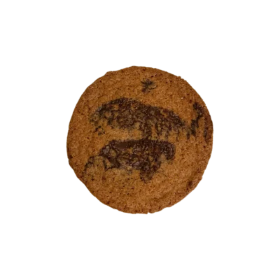 Fresh-Baked-Chocolate Chip Cookie