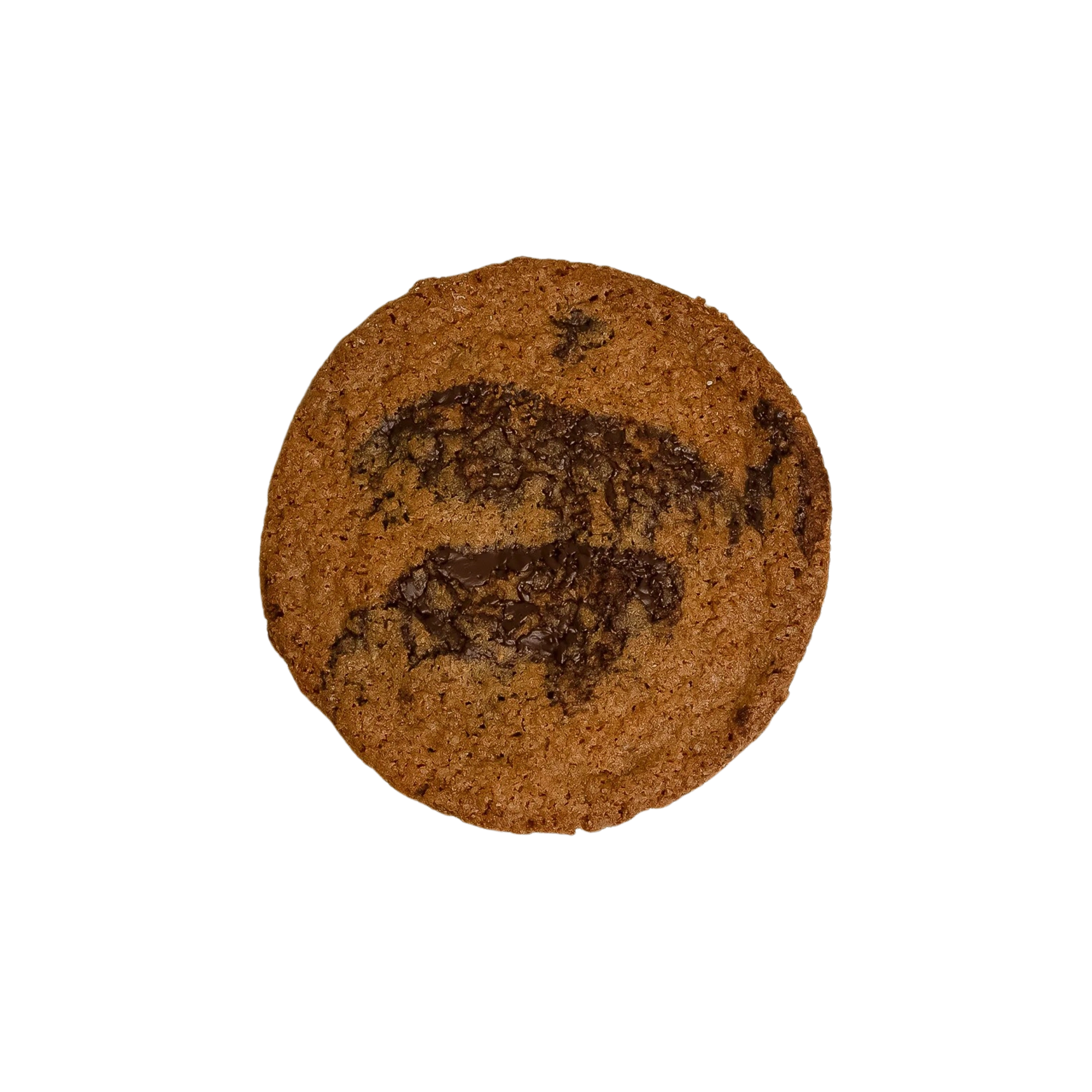 Fresh-Baked-Chocolate Chip Cookie