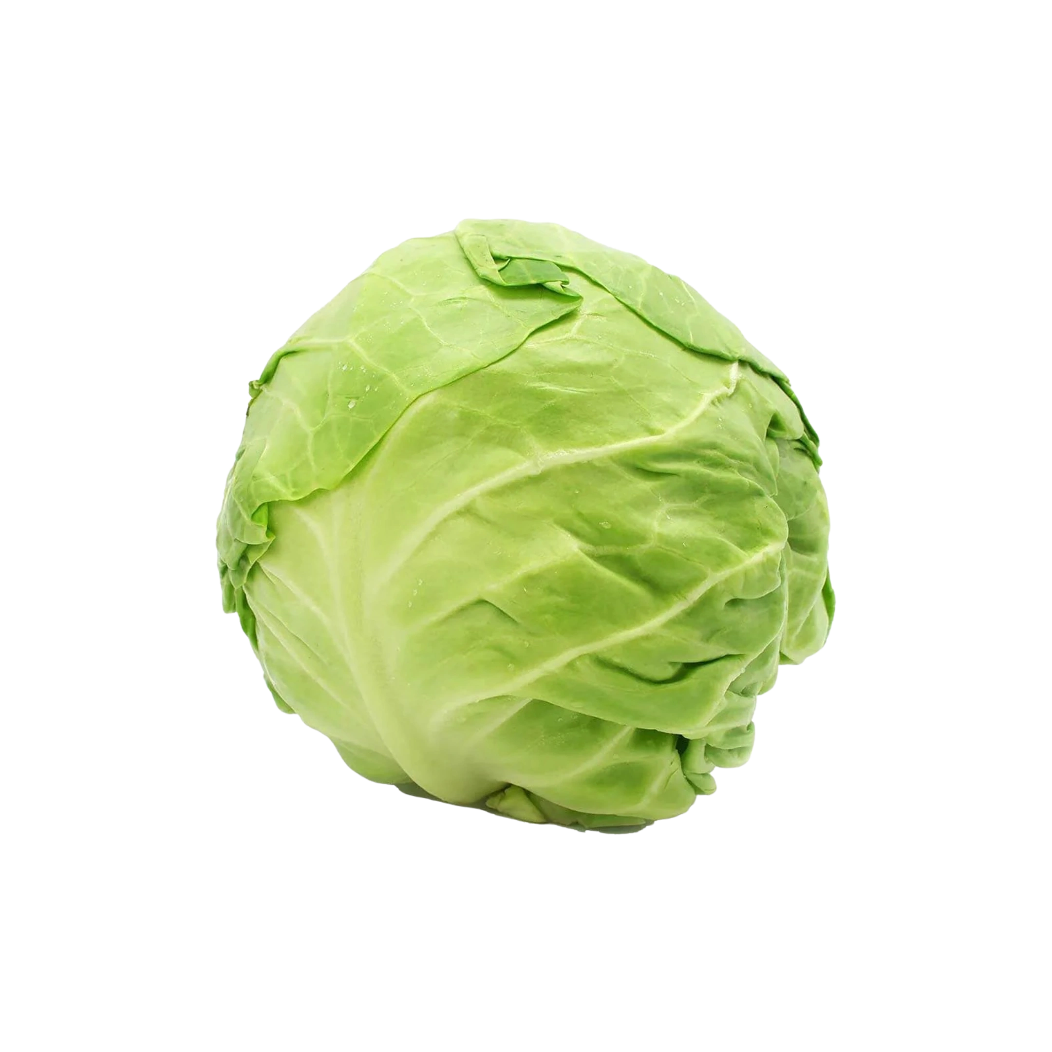 Organic Cabbage Green
