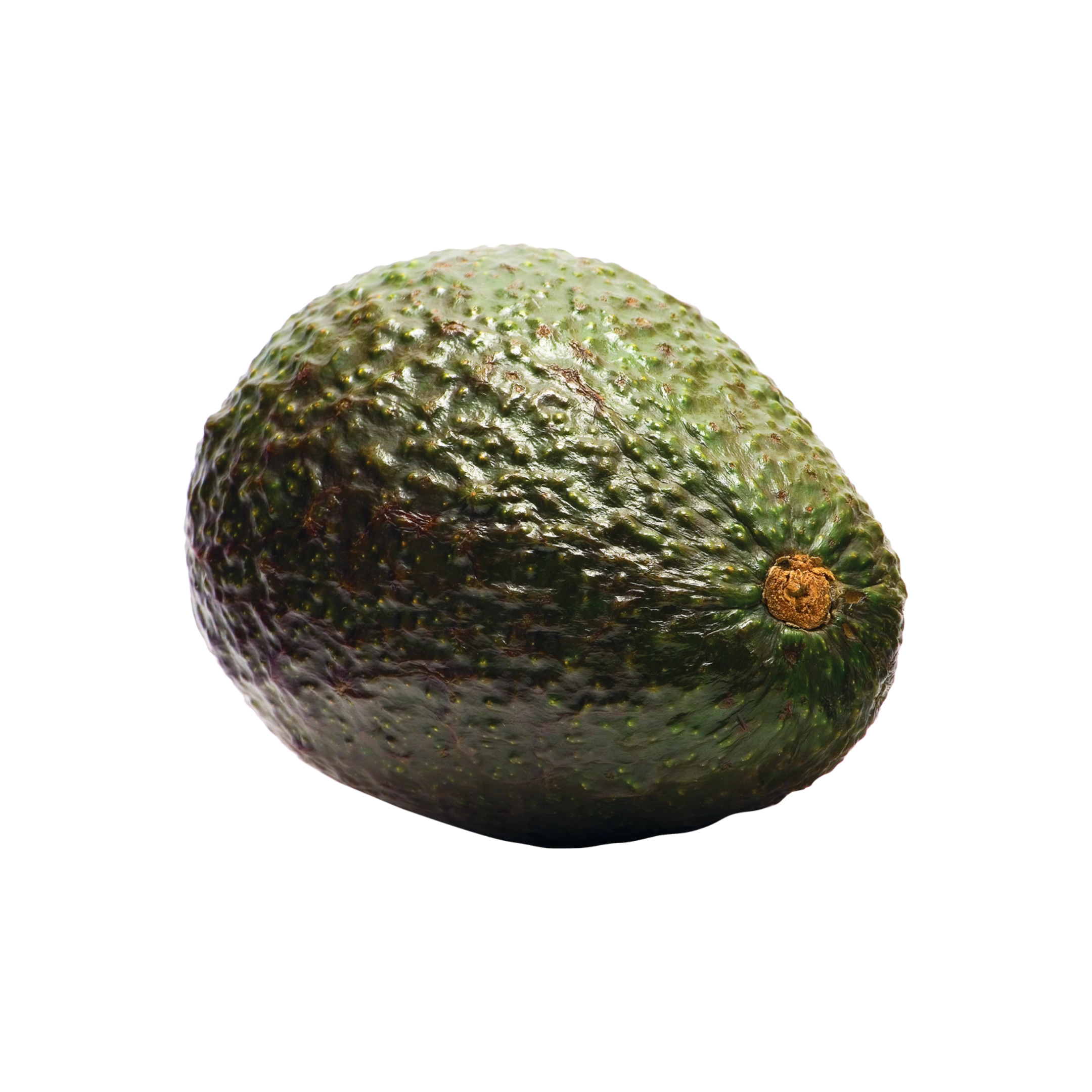 Organic Large Haas Avocados