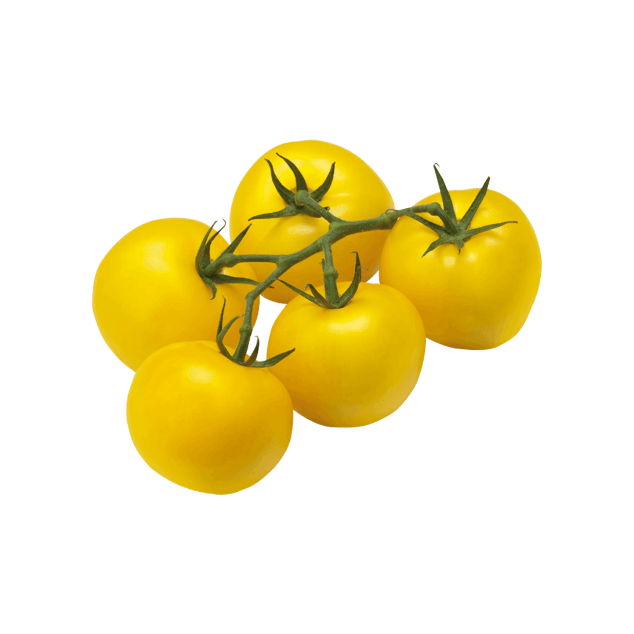 Organic Yellow Cherry Tomatoes