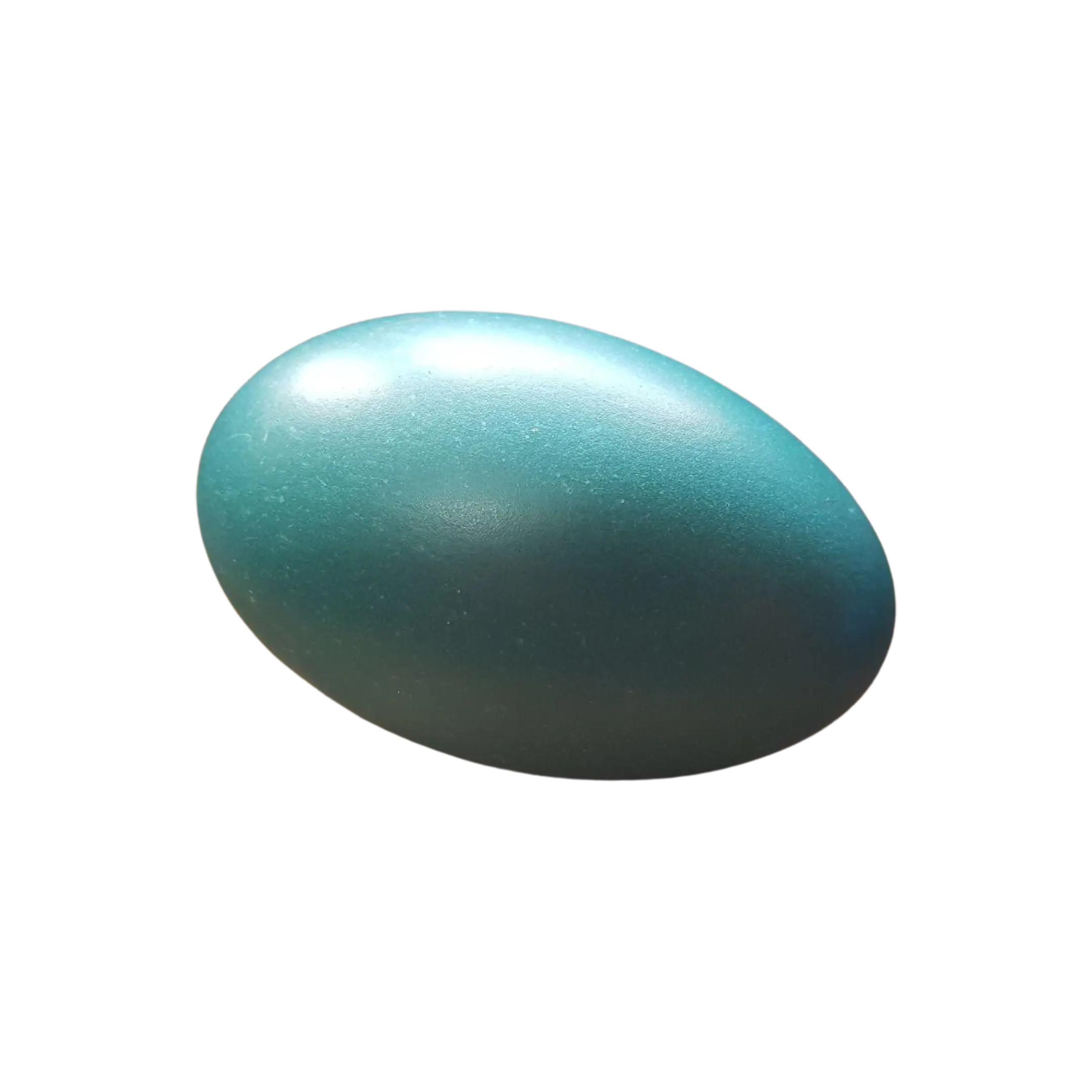 Free-Range Pastured Emu Egg
