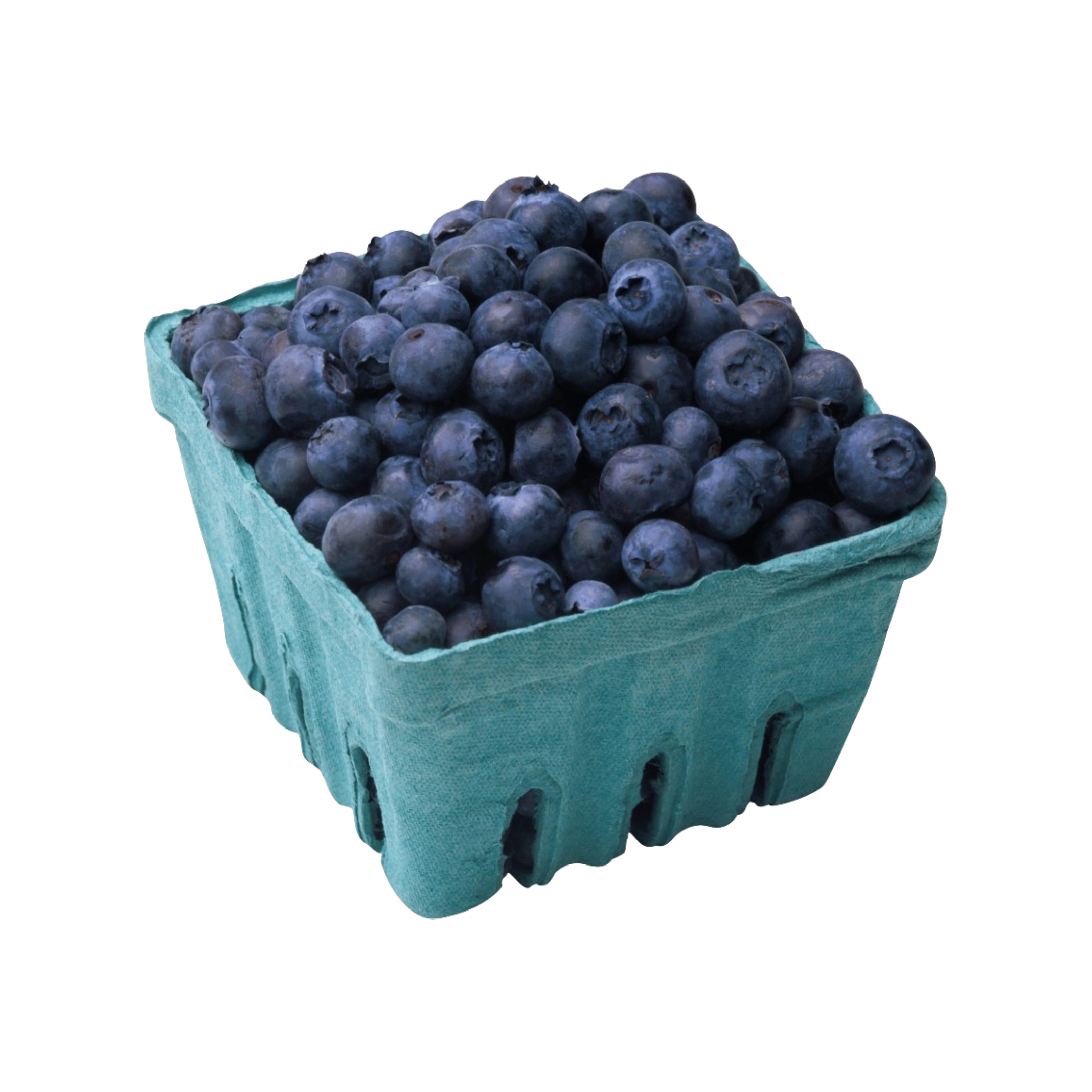 Non-GMO Blueberries