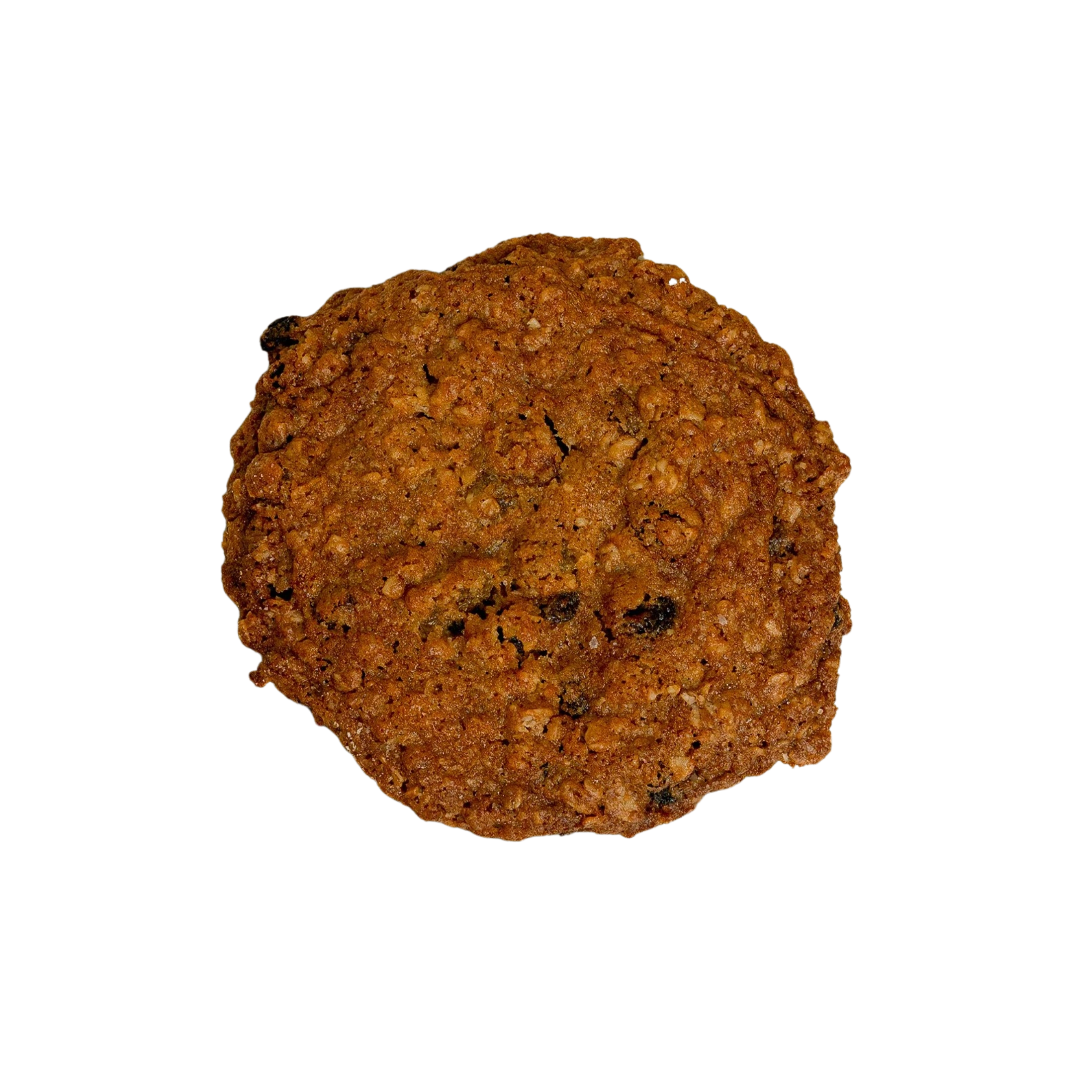 Oatmeal Raisin Cookie