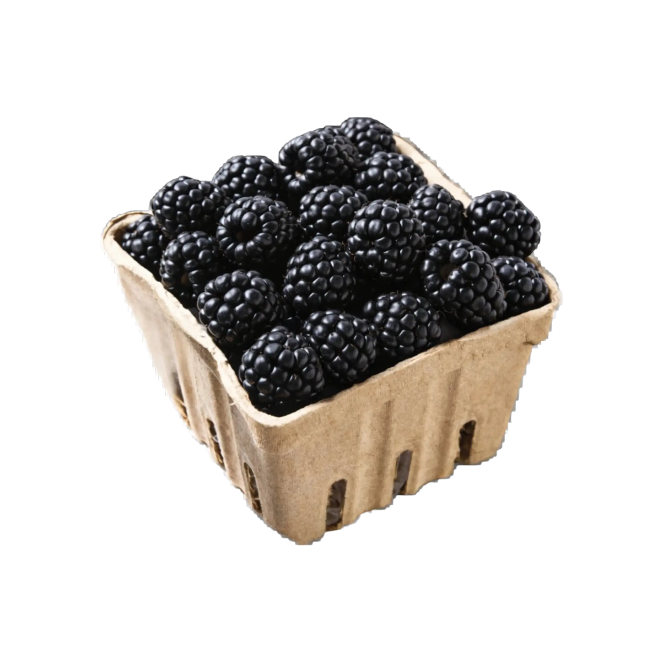 Non-GMO Blackberries