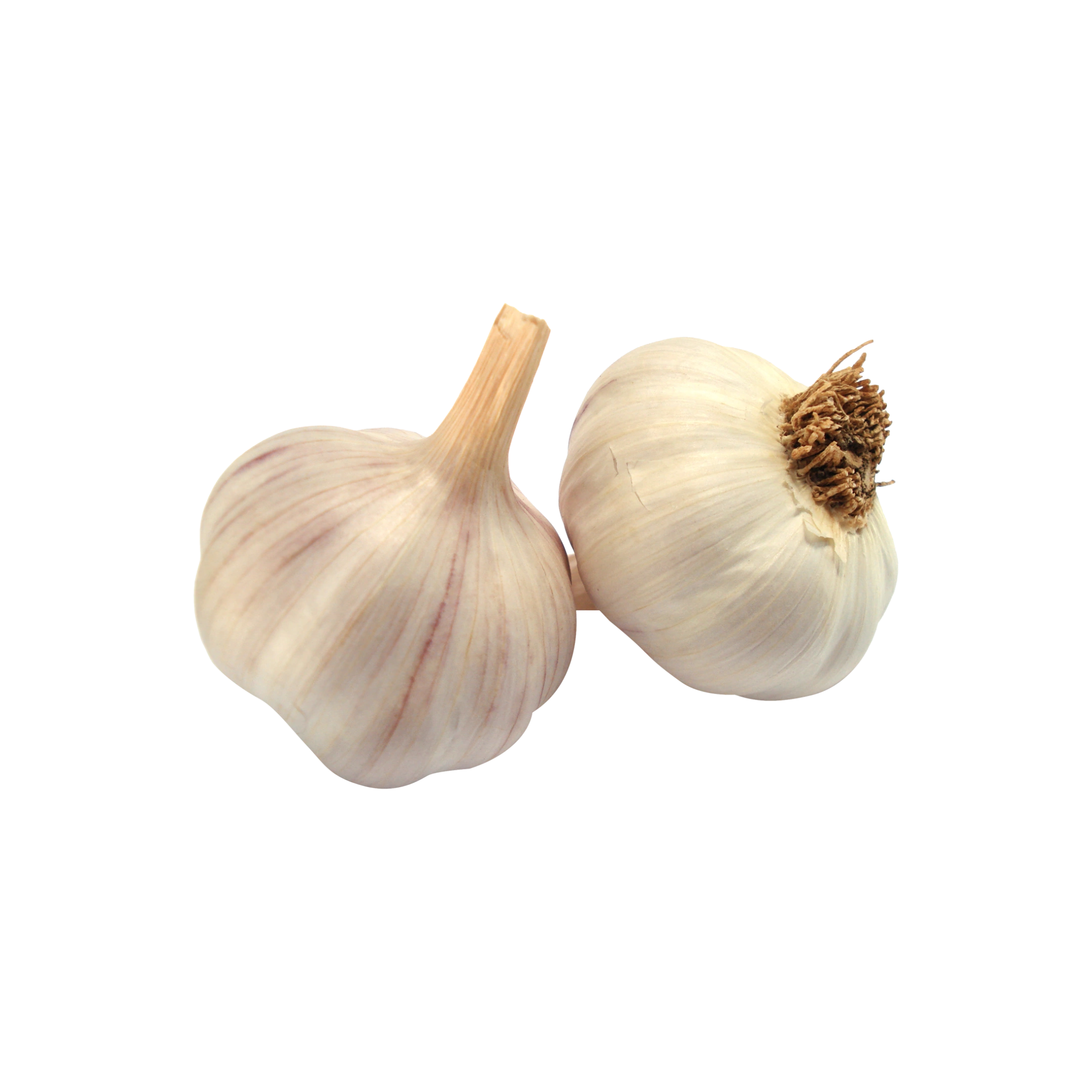 Non-GMO Garlic