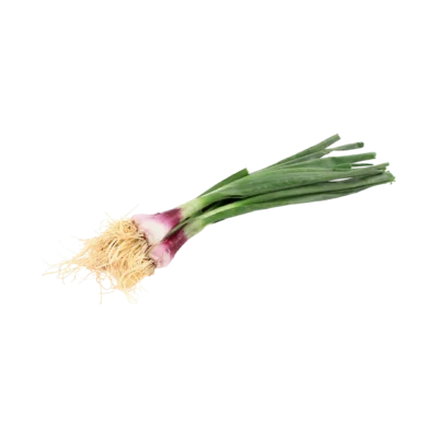 Organic Red Spring Onion