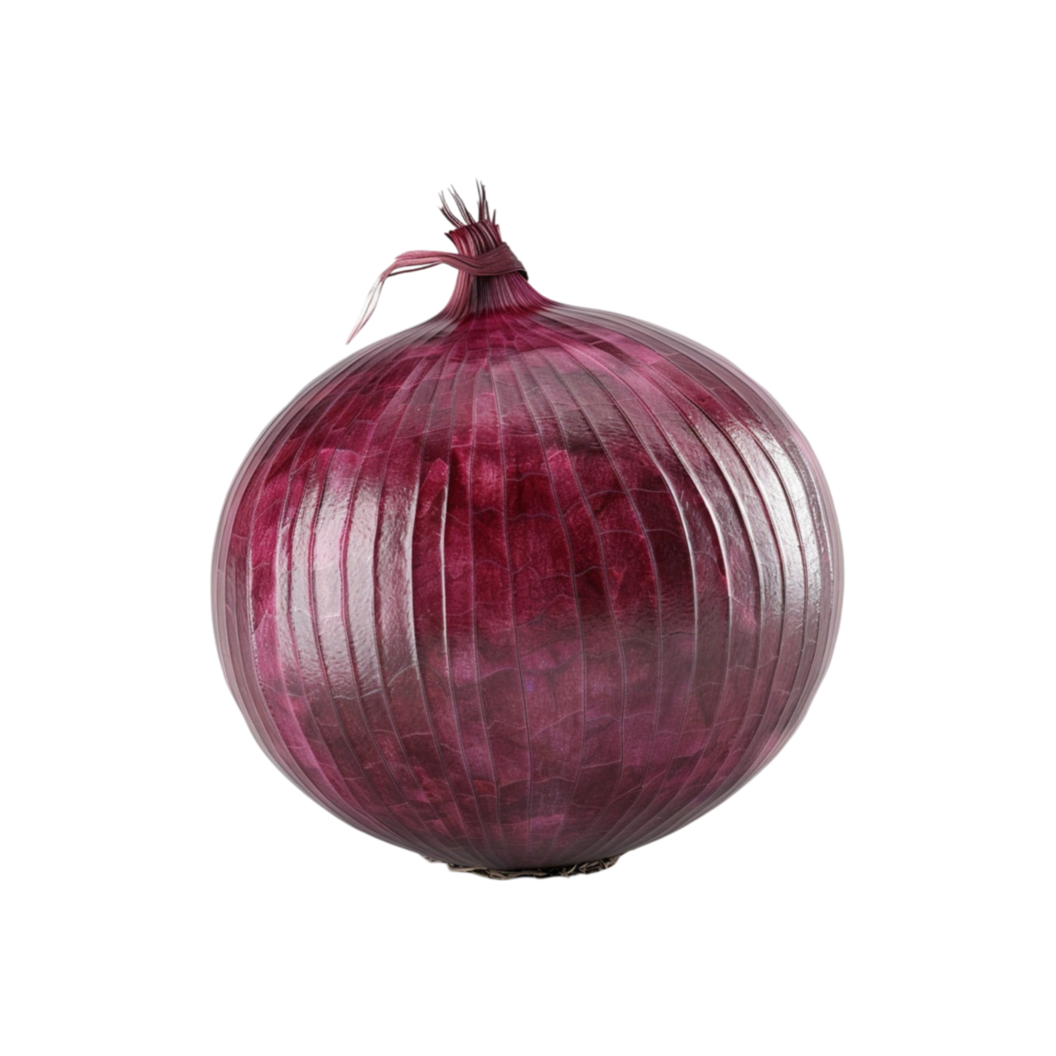 Non-GMO Red Onion