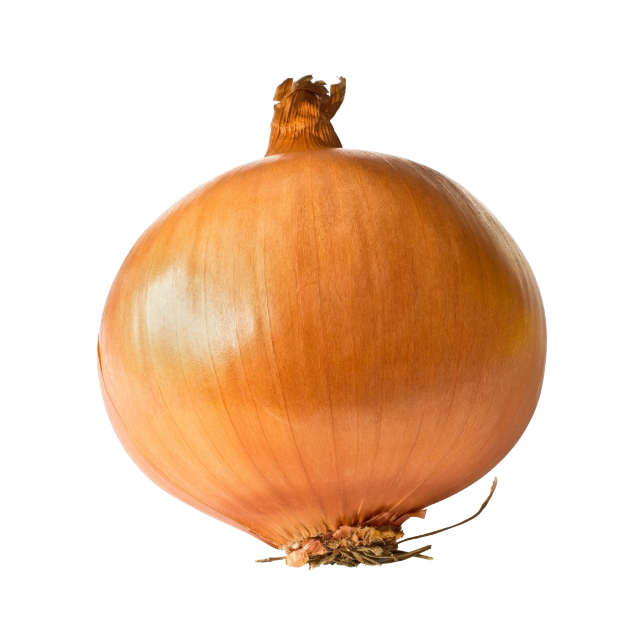 Non-GMO Yellow Sweet Onion