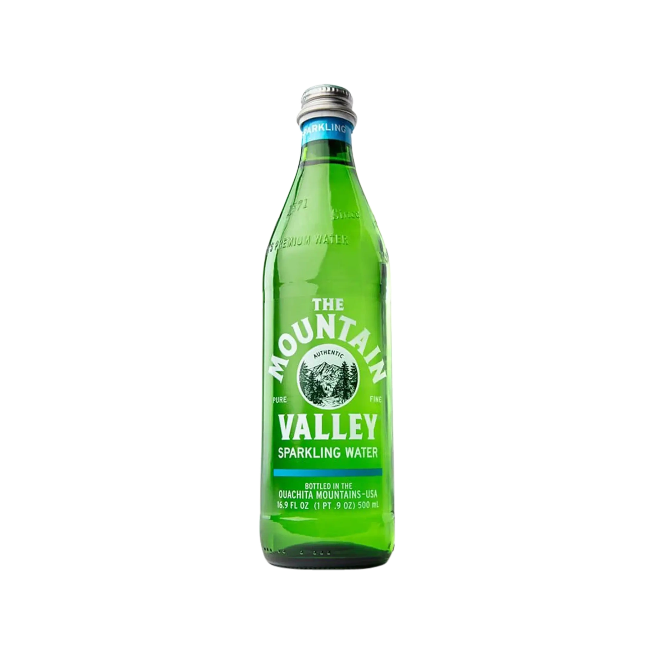 Sparkling Water Glass Bottle 16.9 fl oz