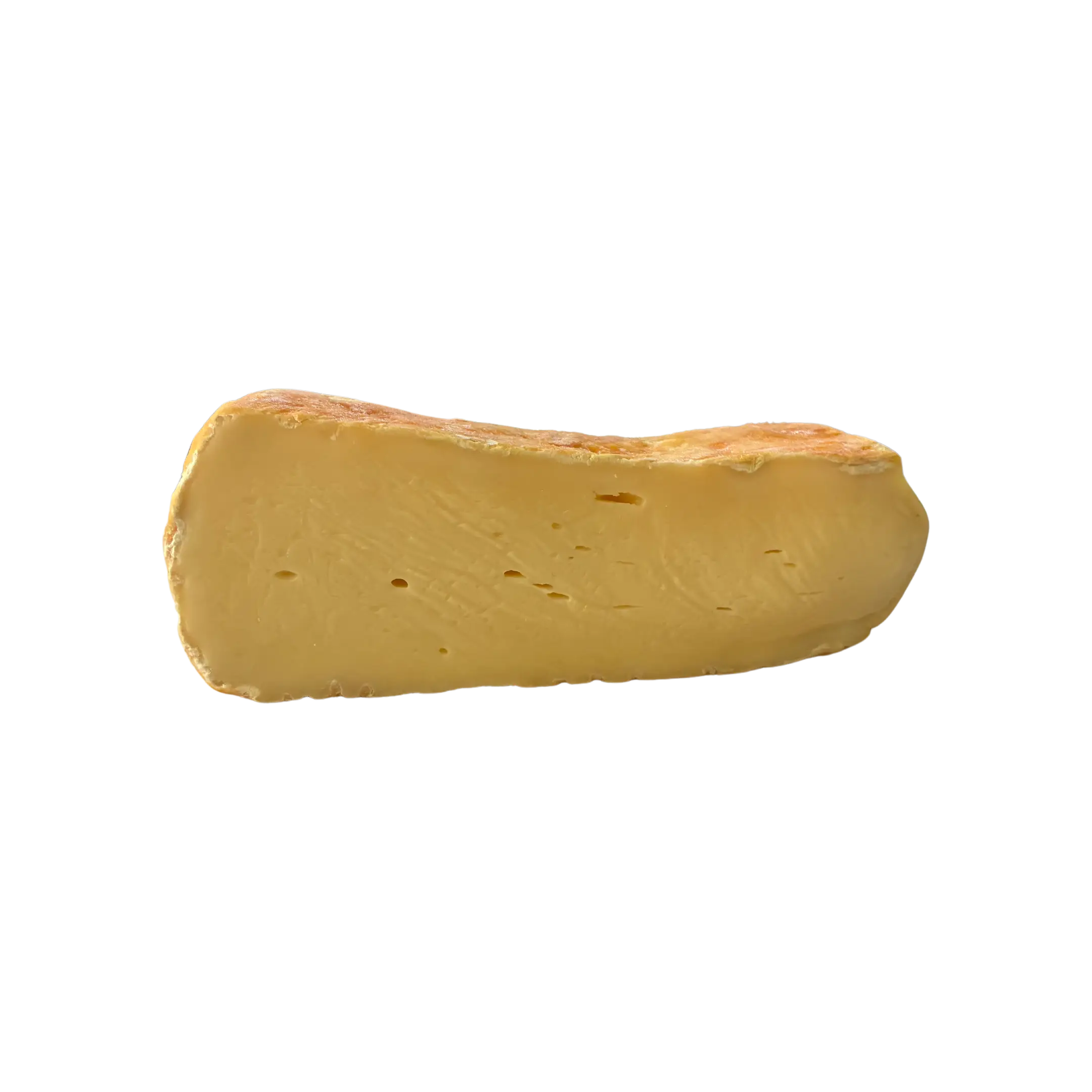 Taleggio DOP Cheese