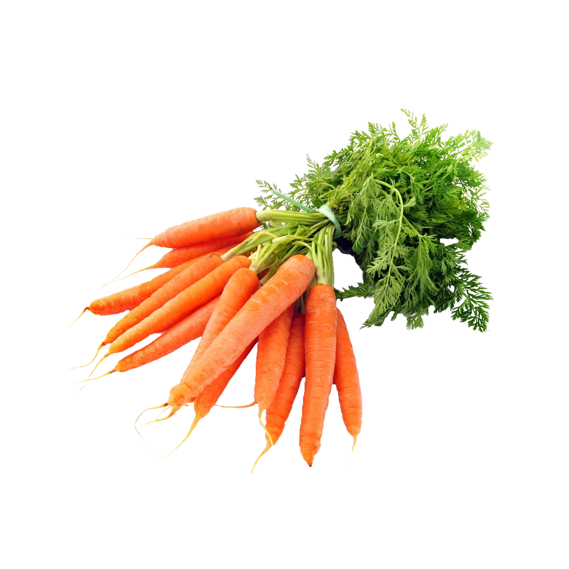 Organic Carrots (Bunch)