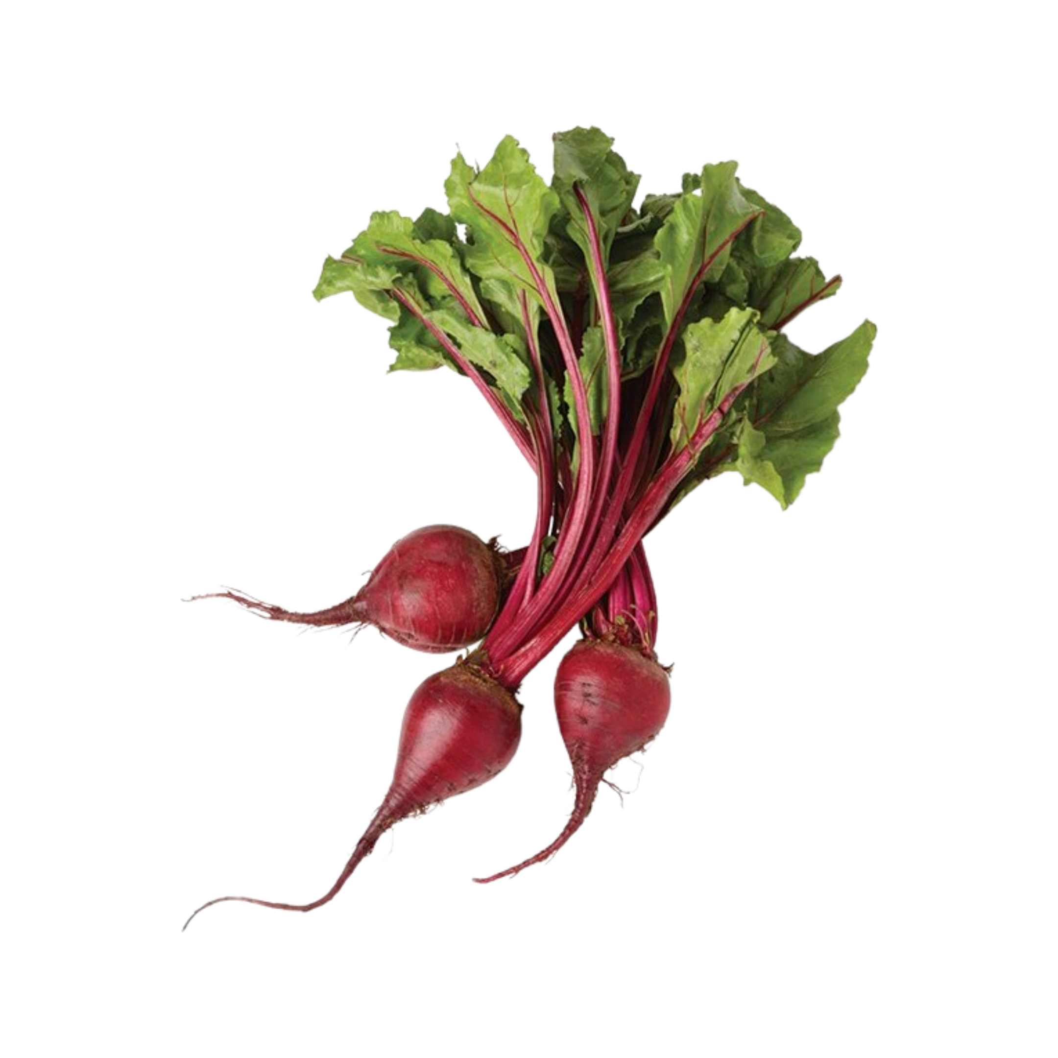 Organic Red Beets (Bunch)