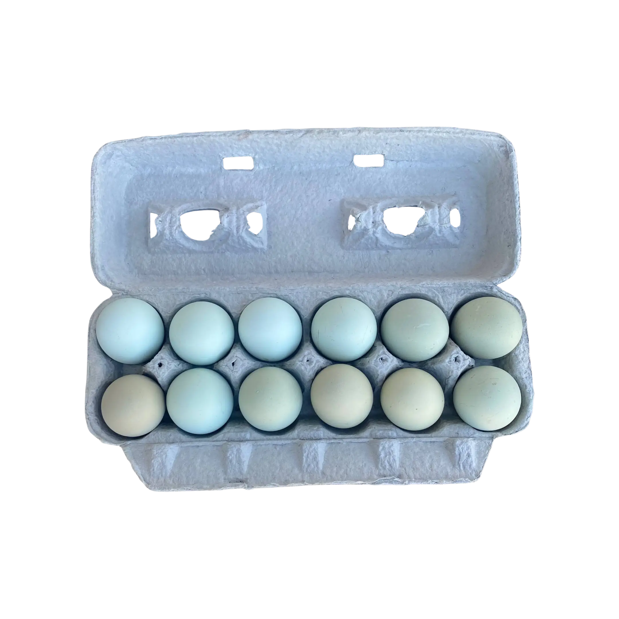 Green Pasture Raised Eggs