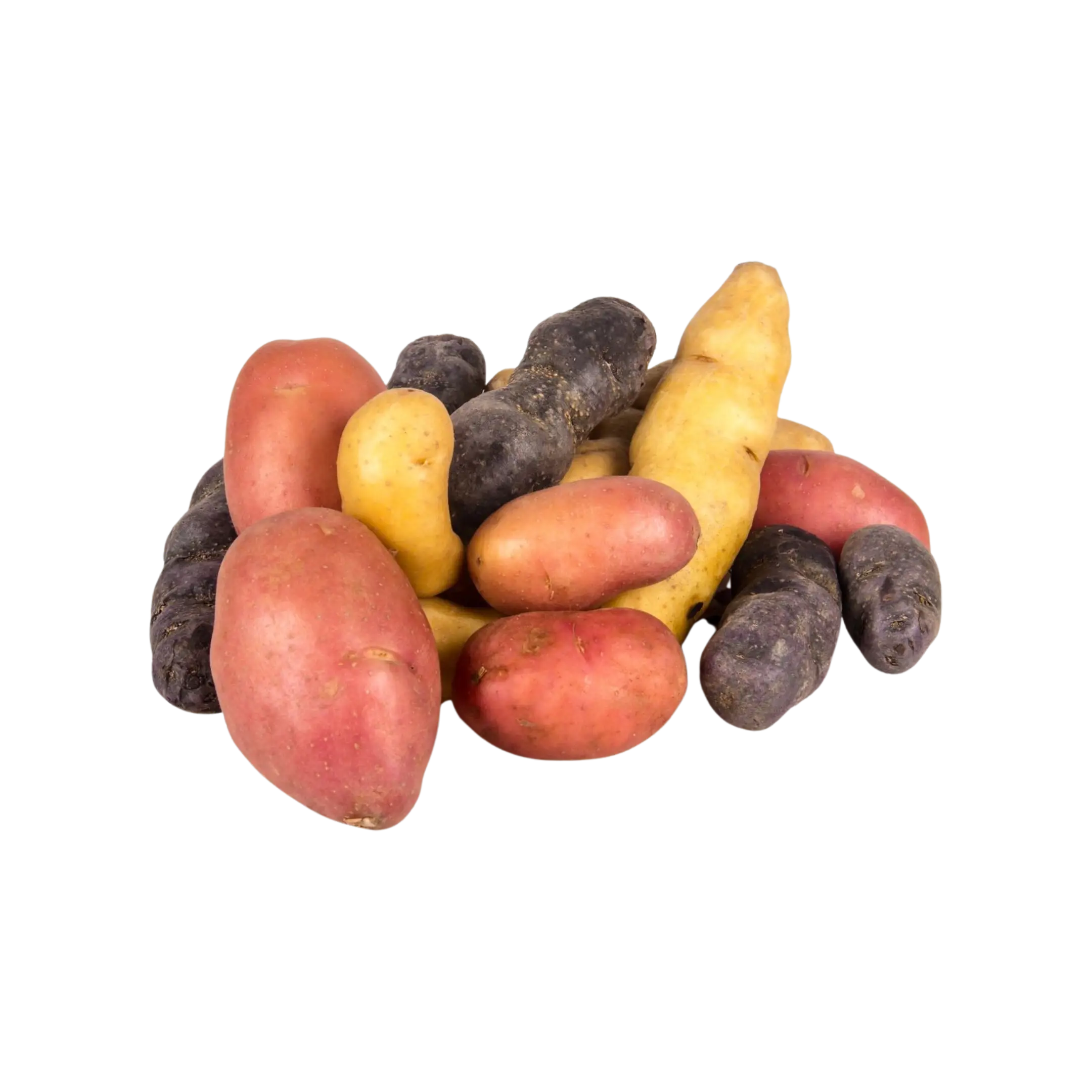 Non-GMO Fingerling Potatoes