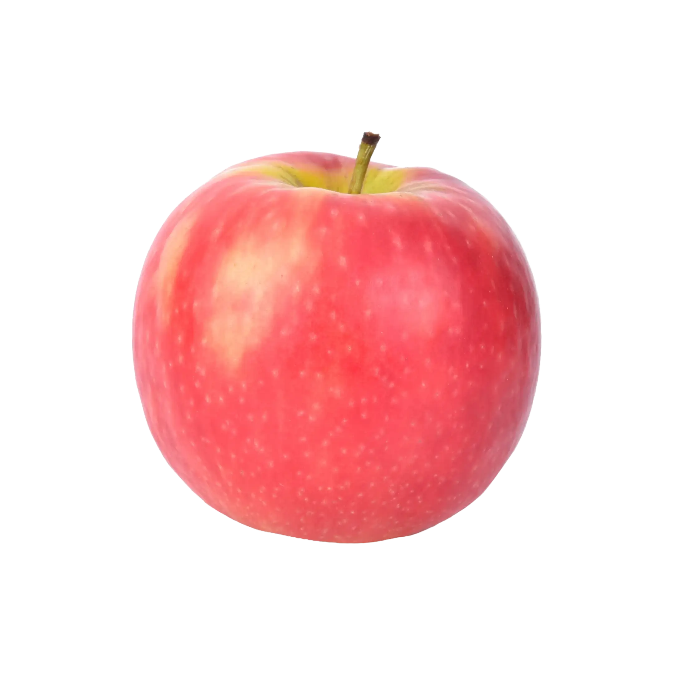 Organic Pink Lady Apple