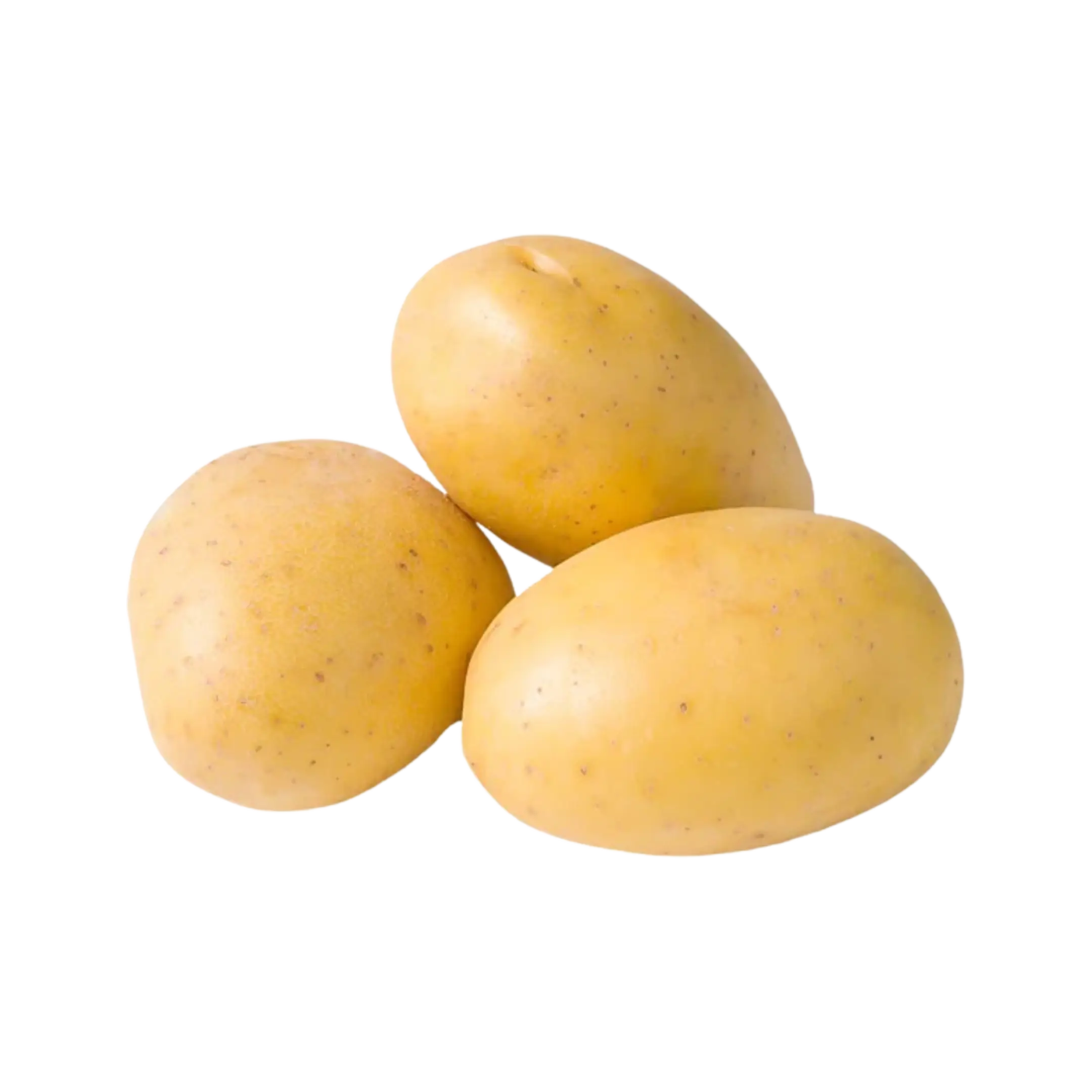 Non-GMO Yellow Potatoes