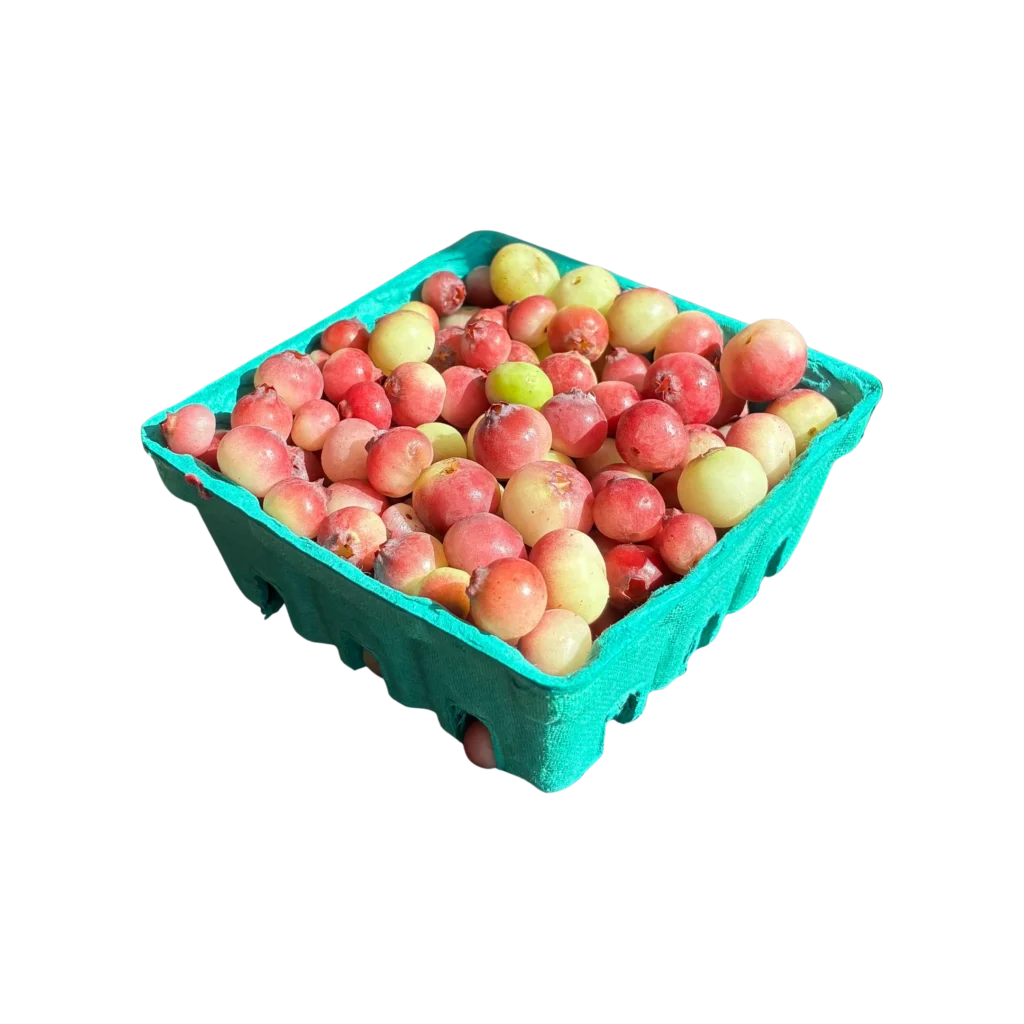 Non-GMO Pink Lemonade Blueberries