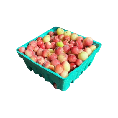 Non-GMO Pink Lemonade Blueberries